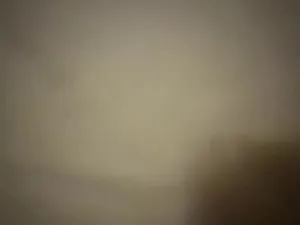279203756