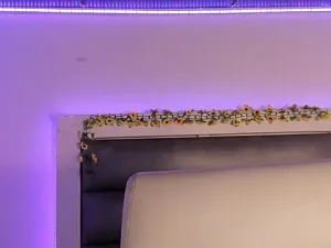 adhalee_js