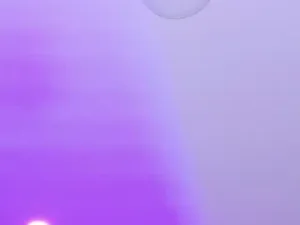 alanna_hank