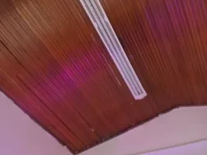 ale_alejandra