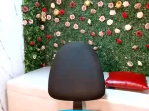 alexawet_
