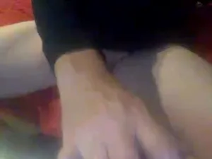 allycat307644