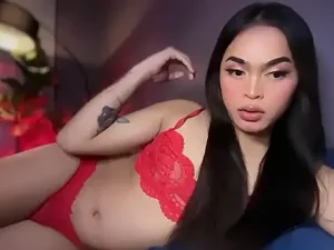 Amylaa