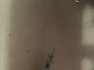 Anita_vegaa_