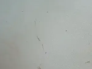 -Bitilu-